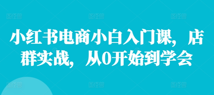小红书电商小白入门课，店群实战，从0开始到学会-搞钱利器