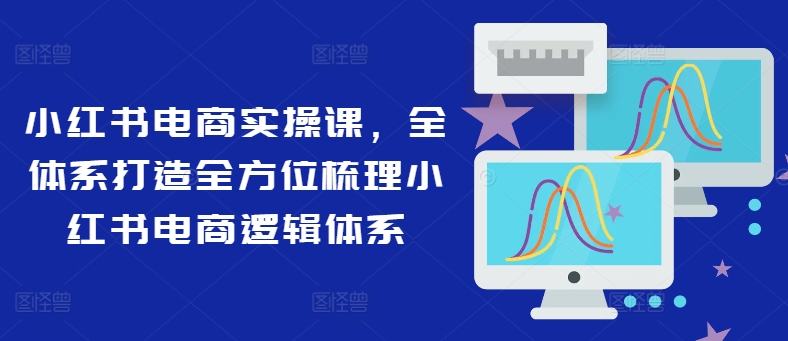 小红书电商实操课，全体系打造全方位梳理小红书电商逻辑体系-搞钱利器