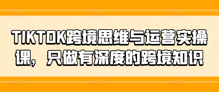 TIKTOK跨境思维与运营实操课，只做有深度的跨境知识-搞钱利器