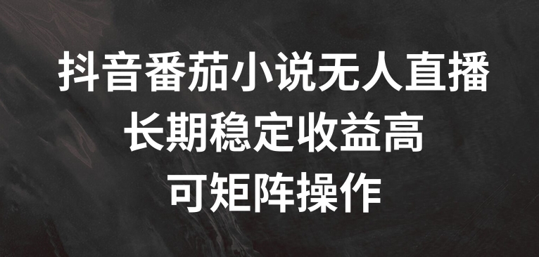 抖音番茄小说无人直播，长期稳定收益高，可矩阵操作【揭秘】-搞钱利器
