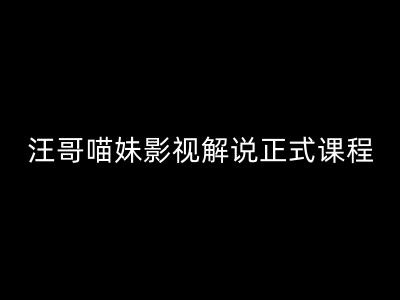 汪哥影视解说正式课程：剪映/PR教学/视解说剪辑5大黄金法则/全流程剪辑7把利器等等-搞钱利器
