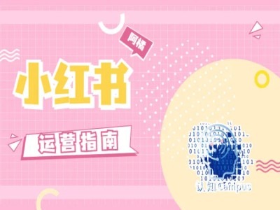 小红书运营指南，没有套路，全是经验-搞钱利器
