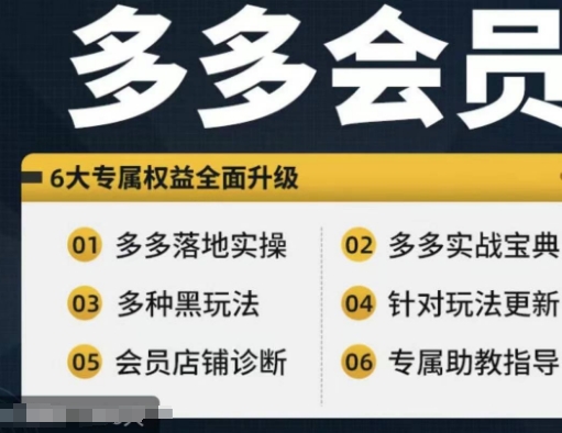 拼多多会员，拼多多实战宝典+实战落地实操，从新手到高阶内容全面覆盖-搞钱利器