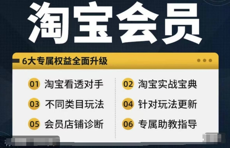 淘宝会员【淘宝所有课程，全面分析对手】，初级到高手全系实战宝典-搞钱利器
