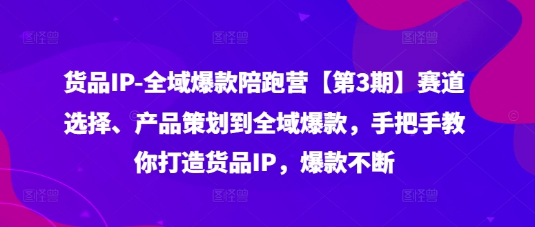 货品IP全域爆款陪跑营【第3期】赛道选择、产品策划到全域爆款，手把手教你打造货品IP，爆款不断-搞钱利器