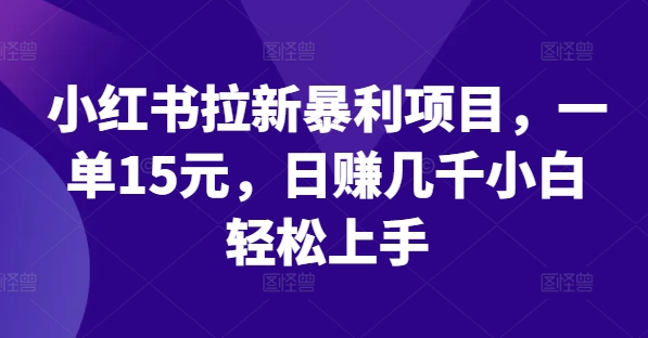 小红书拉新暴利项目，一单15元，日赚几千小白轻松上手【揭秘】-搞钱利器