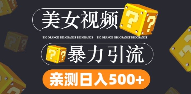 搬运tk美女视频全网分发，日引s粉300+，轻松变现，不限流量不封号【揭秘】-搞钱利器