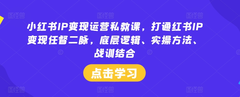 小红书IP变现运营私教课，打通红书IP变现任督二脉，底层逻辑、实操方法、战训结合-搞钱利器