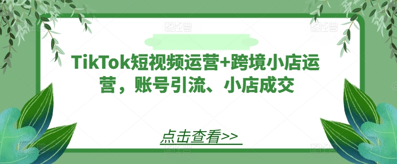 TikTok短视频运营+跨境小店运营，账号引流、小店成交-搞钱利器