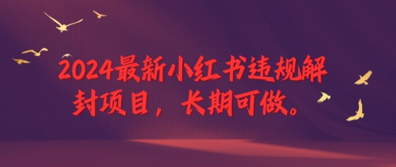 2024最新小红书违规解封项目，长期可做，一个可以做到退休的项目【揭秘】-搞钱利器