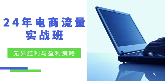 24年电商流量实战班：无界 红利与盈利策略，终极提升/关键词优化/精准…-搞钱利器