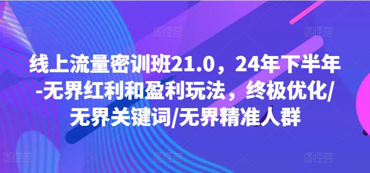 线上流量密训班21.0，24年下半年-无界红利和盈利玩法，终极优化/无界关键词/无界精准人群-搞钱利器
