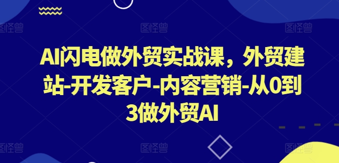 AI闪电做外贸实战课，​外贸建站-开发客户-内容营销-从0到3做外贸AI(更新)-搞钱利器