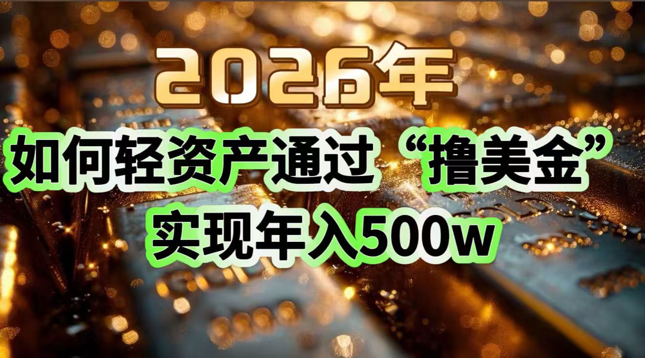 2026年如何轻资产通过“撸美金”实现年入500w-搞钱利器
