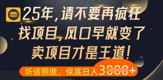 什么？25年你还在疯狂找项目做，醒醒吧，看完这些你全都懂了【揭秘】-搞钱利器