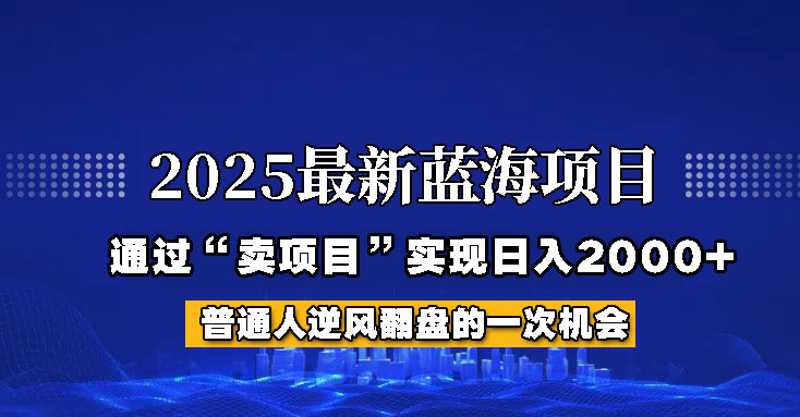 2025年蓝海项目，如何通过“网创项目”日入2000+-搞钱利器