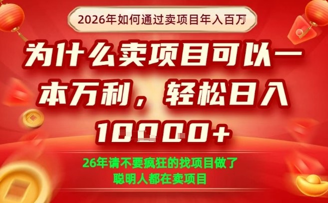 一单净利润1K+，26年想年入100个W，死磕卖项目就够了【揭秘】-搞钱利器