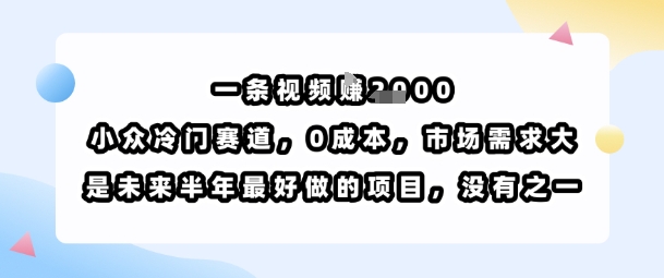 一条视频挣1k，小众冷门赛道，0成本，市场需求大，是未来半年最好做的项目，没有之一-搞钱利器