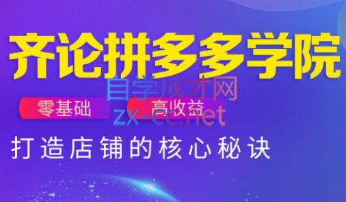 齐论拼多多vip课程-搞钱利器