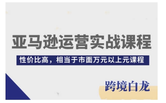 亚马逊运营实战课程，亚马逊从入门到精通，性价比高，相当于市面万元以上元课程-搞钱利器