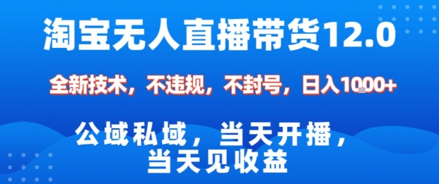 淘宝无人直播12.0，公域私域技术，不封号，不违规布局双十一流量风口，日入1k(独家技术)【揭秘】-搞钱利器