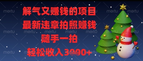 解气又挣钱的项目，最新违章拍照挣钱，随手一拍，轻松收入多张【揭秘】-搞钱利器