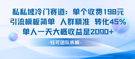 私域冷门赛道单个收费198米引流模板简单人群精准 45%的转化率单人一天大概收益多张-搞钱利器