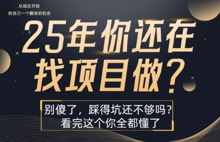 25年，你还在疯狂的找项目吗？别傻了，看完这个你都懂了【揭秘】-搞钱利器