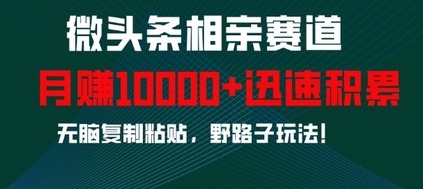 微头条相亲赛道，迅速积累，无脑复制粘贴，野路子玩法，月入1w-搞钱利器