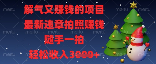 解气又挣钱的项目，最新违章拍照挣钱，随手一拍，轻松收入数张【揭秘】-搞钱利器