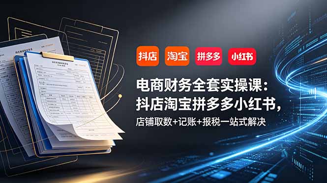 电商财务全套实操课：抖店淘宝拼多多小红书，店铺取数+记账+报税一站式解决-搞钱利器