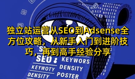 独立站运营从SEO到Adsense全方位攻略，从新手入门到进阶技巧，再到高手经验分享-搞钱利器
