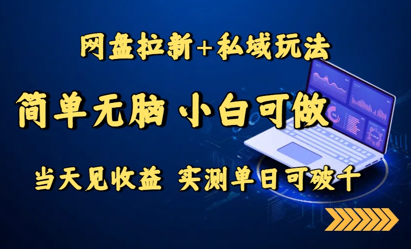 网盘拉新+私域玩法，简单无脑，小白可做，当天见收益，实测单日可破千-搞钱利器
