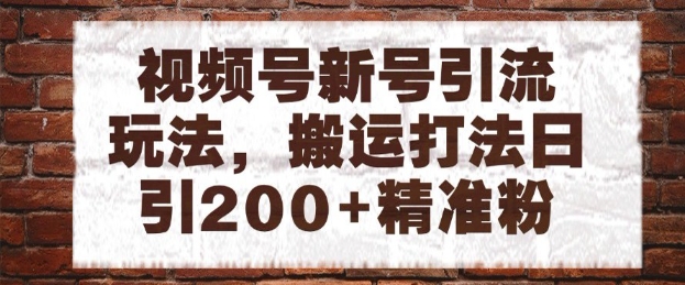视频号新号引流玩法，搬运打法日引200+精准粉，可矩阵放大【揭秘】-搞钱利器