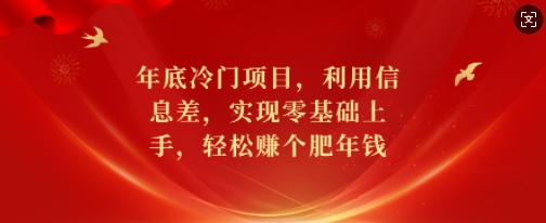 年底冷门项目，利用信息差，实现零基础上手，轻松赚个肥年钱【揭秘】-搞钱利器