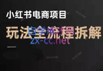 菲菲老师·小红书电商玩法(更新9月)-搞钱利器