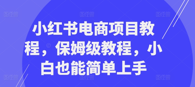 小红书电商项目教程，保姆级教程，小白也能简单上手-搞钱利器