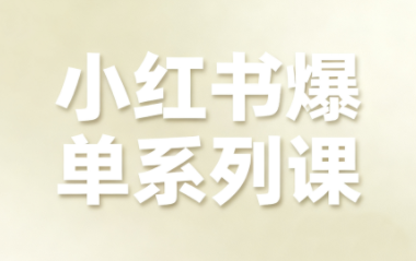 尼采老师·小红书爆单系列课-搞钱利器