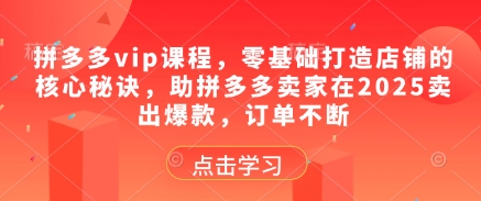 拼多多vip课程，零基础打造店铺的核心秘诀，助拼多多卖家在2025卖出爆款，订单不断-搞钱利器