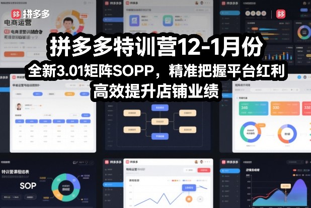 拼多多特训营12-1月份，全新3.01矩阵Sop，精准把握平台红利，高效提升店铺业绩-搞钱利器