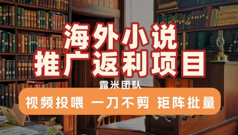 海外小说推广返利项目，视频投喂， 一刀不剪，矩阵批量-搞钱利器