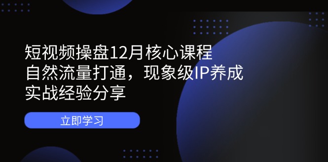短视频操盘12月核心课程：自然流量打通，现象级IP养成，实战经验分享-搞钱利器