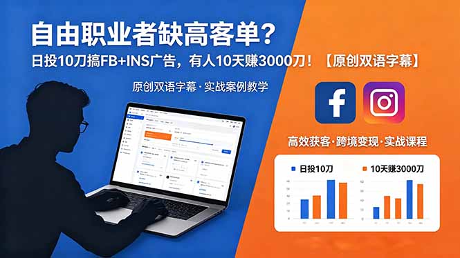 自由职业者缺高客单？日投 10 刀搞 FB+INS 广告，有人 10 天赚 3000 刀！【原创双语字幕】-搞钱利器
