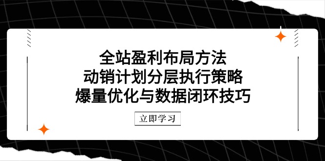 全站盈利布局方法：动销计划分层执行策略，爆量优化与数据闭环技巧-搞钱利器