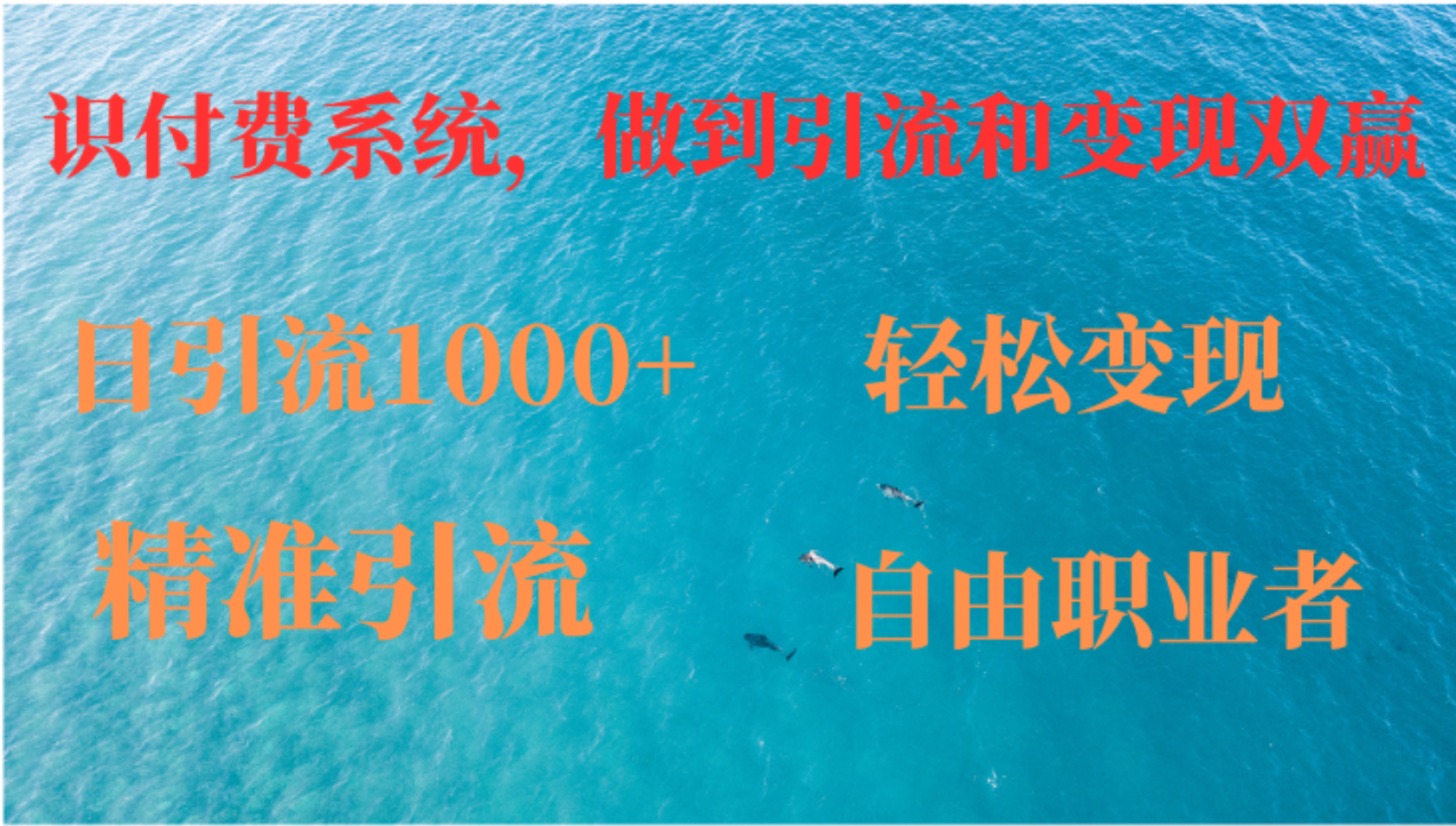 如何搭建自己的知识付费系统，做到引流和变现双赢-搞钱利器