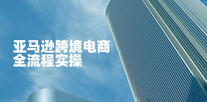 亚马逊跨境电商全流程实操，教你从零开始，掌握店铺运营与广告技巧-搞钱利器