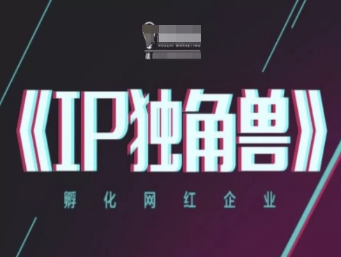 IP独角兽，孵化网红企业，ip教程-搞钱利器