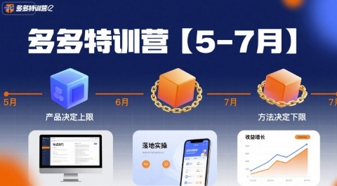 多多特训营【5-7月】产品决定上限，方法决定下限，各种玩法技巧落地实操-搞钱利器