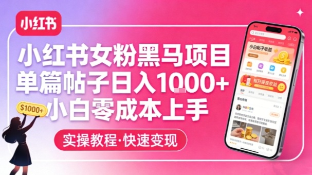 小红书女粉黑马项目，单篇帖子日入1k+，小白零成本上手-搞钱利器