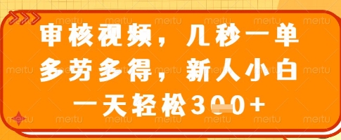 审核视频，几秒一单，多劳多得，新人小白一天轻松3张【揭秘】-搞钱利器